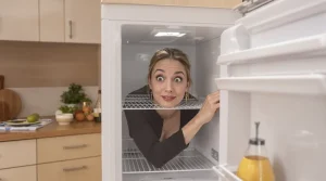 Adieu la glace dans le congélateur : l’astuce simple et redoutable pour un appareil toujours propre, efficace et sans givre