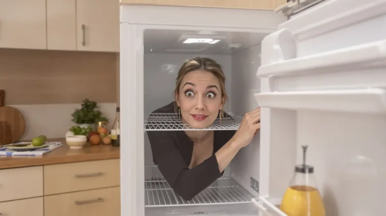 Adieu la glace dans le congélateur : l’astuce simple et redoutable pour un appareil toujours propre, efficace et sans givre