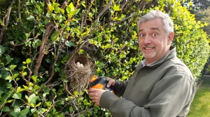 Jardinage : ce que dit vraiment la loi sur la taille des haies après le 15 mars